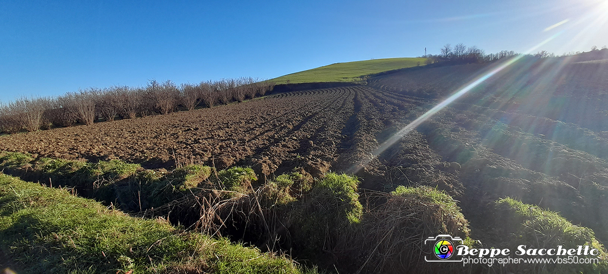 20230110_153537 - Dalla terra... il grano.jpg